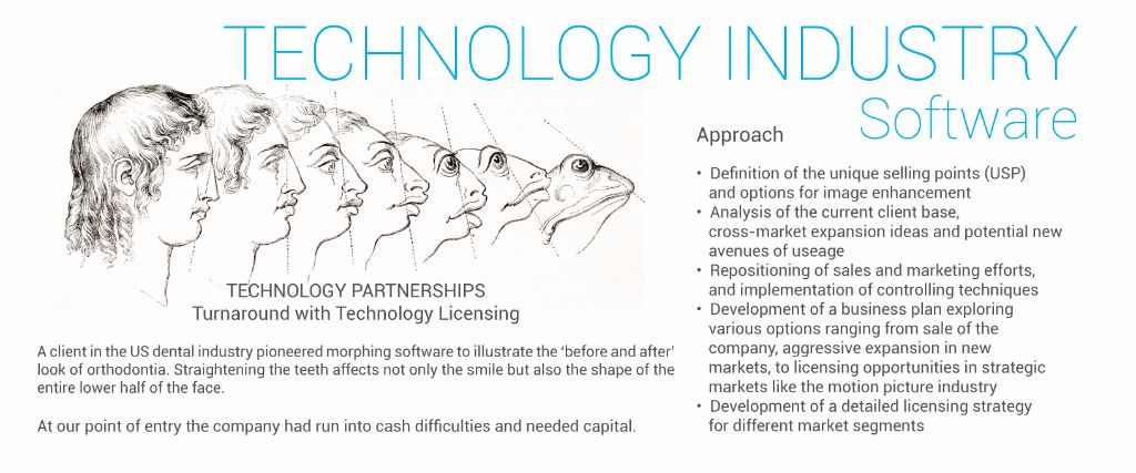 Technology Partnerships  Turnaround with Technology Licensing  Software Industry  A client in the US dental industry pioneered morphing software to illustrate the ‘before and after’ look of orthodontia. Straightening the teeth affects not only the smile but also the shape of the entire lower half of the face.  At our point of entry the company had run into cash difficulties and needed capital.  Approach 	•	Definition of the unique selling points (USP) and options for image enhancement 	•	Analysis of the current client base, cross-market expansion ideas and potential new avenues of use 	•	Repositioning of sales and marketing efforts and implementation of controlling techniques  	•	Development of a business plan exploring various options ranging from sale of the company, aggressive expansion in new markets, to licensing opportunities in strategic markets like the motion picture industry  	•	Development of a detailed licensing strategy for different market segments 